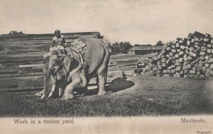 Maulmain Indian Elephant Work in Timber Yard Antique Postcard