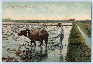 c1910 Honolulu Hawaii HI Vintage Postcard Plowing Rice Field Farm Exterior View