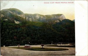 Eagle Cliff Profile House Made Germany Undivided Back Postcard Vintage Antique 