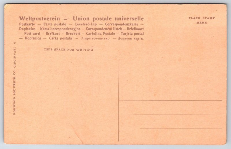 Elkhart Indiana~Soldiers & Sailors Monument~Shiloh~c1910 Postcard