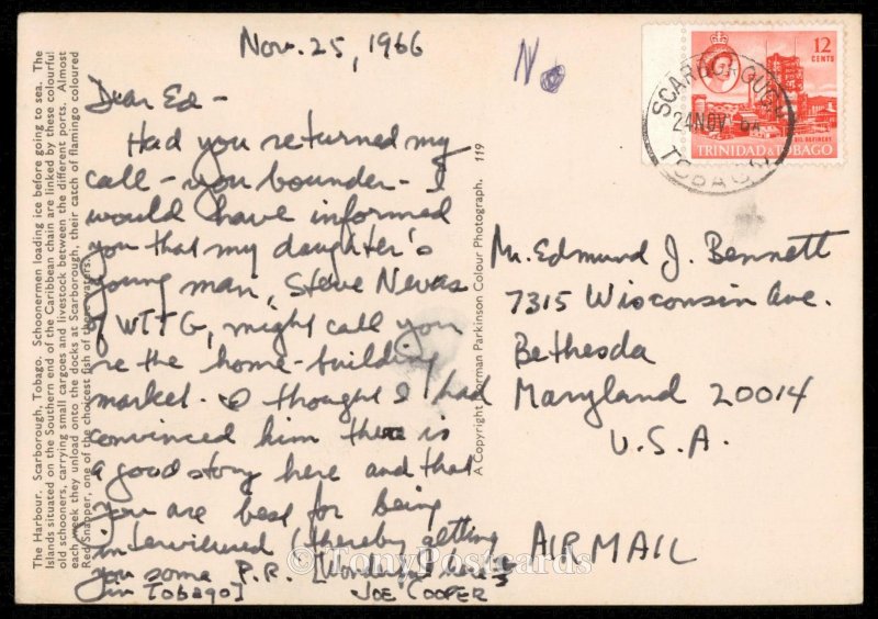 The Harbour - Scarborough, Tobago