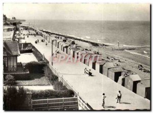 Modern Postcard Sea Lion On The Beach And The Dike