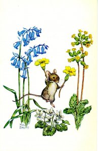 Spring is Here     Artist: Molly Brett