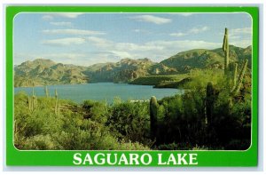 c1960 Panoramic View Saguaro Lake Salt River Lakes Arizona AZ Unposted Postcard