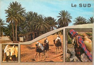 Africa Tunisia plains oasis desert life ethnic bedouin