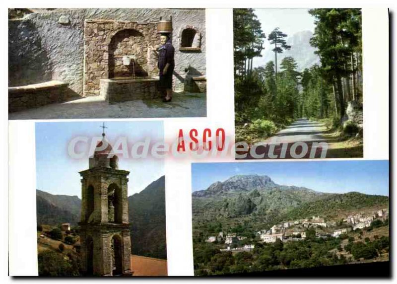 Postcard Modern Asco La Fontaine Vue Generale The Belfry La Foret
