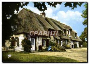 The Modern Postcard Lush Normandy House Norman thatched