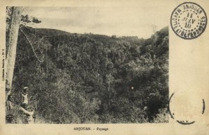 comoros, ANJOUAN, Paysage, Landscape (1910) Postcard (1)