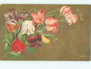 Divided-Back BEAUTIFUL FLOWERS SCENE Great Postcard AA2559