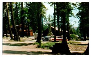 1950s Lake Alpine Lodge and Cabins, Lake Alpine, CA Postcard