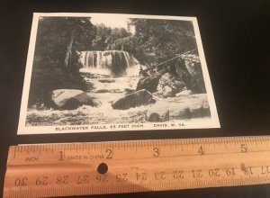 Vintage Postcard 1920s Blackwater Falls West Virginia UNUSED White Borders VGC