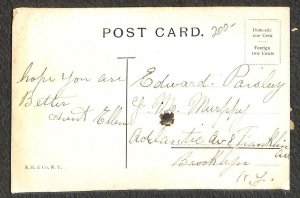 PRESIDENT TEDDY ROOSEVELT ON SEE-SAW BEAR MECHANICAL NOVELTY POSTCARD (c.1908)