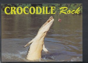 Animals Postcard - Australia - Crocodile Rock    RR3959
