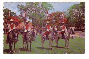 Royal Barbados Mounted Police