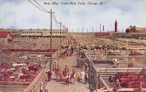 Stock Yards, Chicago, Illinois, Ill. USA Occupational Unused very light corne...