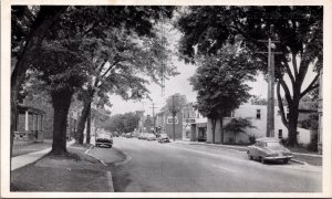 Canada King Street Burford Ontario Vintage Postcard 09.99