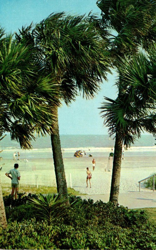 Georgia Sea Island Palm Trees and Ocean Seen From The Beach Club