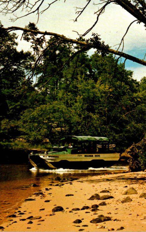 Wisconsin Dells Duck In Dell Creek