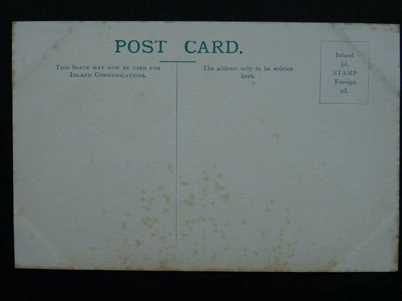 Horse Theme ROBERT LE DIABLE Lord Carnarvon's Winner c1904 Postcard