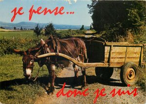 Animals Postcard donkey on cart