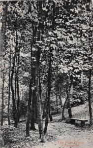 FOLKESTONE KENT UK THE PINE WALK BALMORAL SERIES #1619 REAL PHOTO POSTCARD 1910