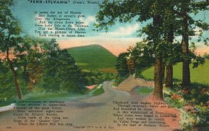 Vintage Postcard 1945 Pennsylvania Penn's Woods A Poem Of Scenic Beauty Nature