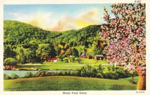 Maine Farm Scene, Linen Vintage Postcard F11