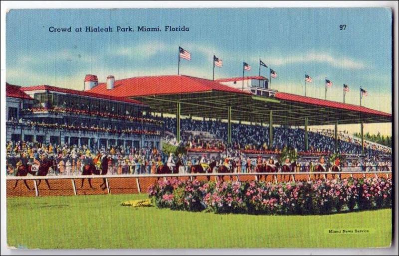 Crowd at Hialeah Park, Miami Fl