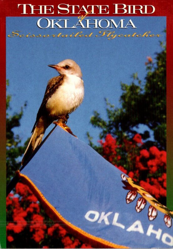 Oklahoma State Bird Scissortailed Flycatcher