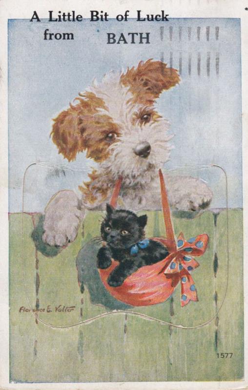 Bath Antique Folding Mailing Dog & Kitten in Bag Unique Novelty Postcard