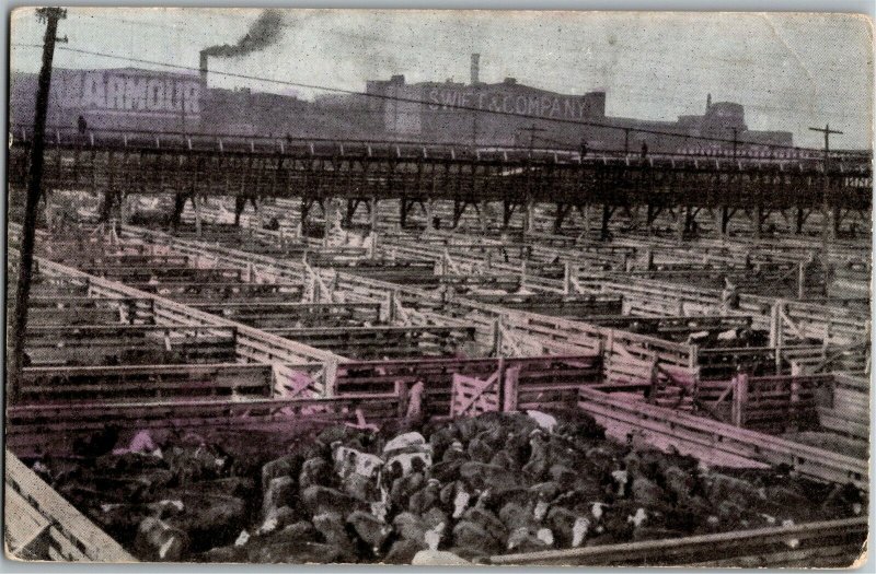 Union Stock Yards, Chicago IL Vintage Postcard B04