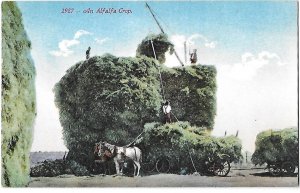 Farming Alfalfa Crop with Horses and wagons