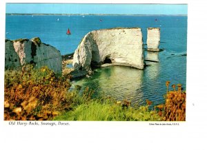 Old Harry Rocks Swanage, Dorset, England