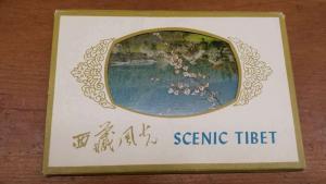 Group Of 6 Scenic Tibet China Nature Multiview Foldout Antique Postcards K16544 
