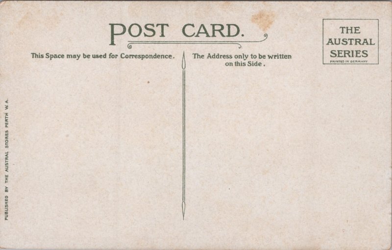 Australia Albany W.A. General View Vintage Postcard C369