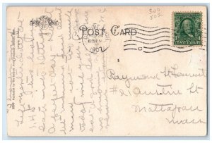 1907 Buffalos In The Zoo Belle Isle Park Detroit Michigan MI Antique Postcard