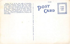 Barless Bear Den Washington Park, Milwaukee, WI, USA Postcard