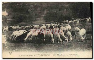 Old Postcard L & # 39Auvergne Picturesque Monument In Pasture