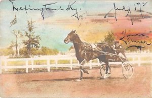 Lexington Kentucky Harness Racing Tinted Real Photo Vintage Postcard AA9179