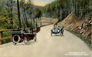 MA - Berkshires, Mohawk Trail. At Cold River Glen