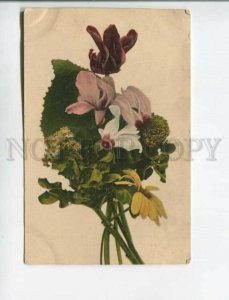 472131 Greeting FLOWER Bouquet Cyclamen photo color ADVERTISING Trade of KIRSON