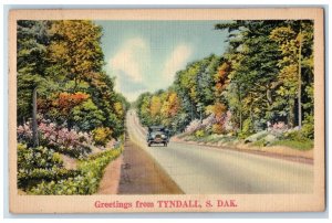 1940 Greetings From Classic Cars Road Trees Flower Tyndall South Dakota Postcard