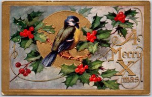 Christmas Greeting Pretty Bird A Merry Xmas Beautiful Art Postcard