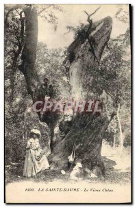 Old Postcard Tree La Sainte Baume The old oak