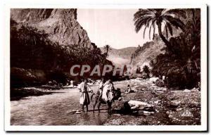 Old Postcard Scenes et Types Algeria the gate of Dasert