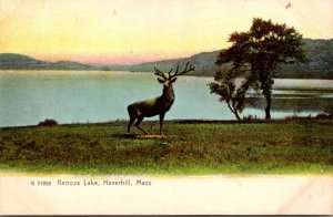 Massachusetts Haverhill Kenoza Lake Elk Statue Rotograph