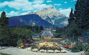 Canada Canadian Rockies Alpine Gardens Banff Avenue Vintage Postcard 07.52