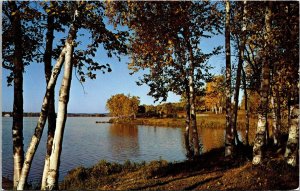Thomas Peters Lake Fall Autumn Reflection Postcard 