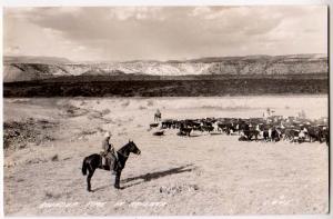 RPPC, Roundup Time, , Arizona