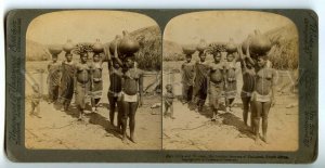 439742 SOUTH AFRICA Semi-nudes Zulu girls burden bearers of Zululand 1901 STEREO